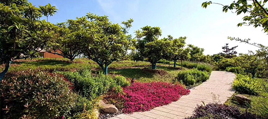 蘇州益友園林建設(shè)發(fā)展有限公司